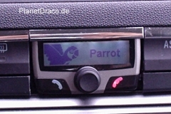 parrot2.jpg