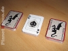 poker17_0.jpg