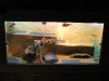 img_0873.jpg
